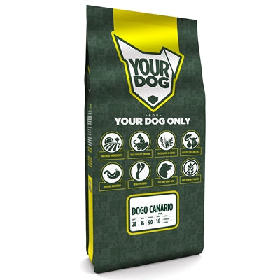 YourDog Dogo Canario Welpe
