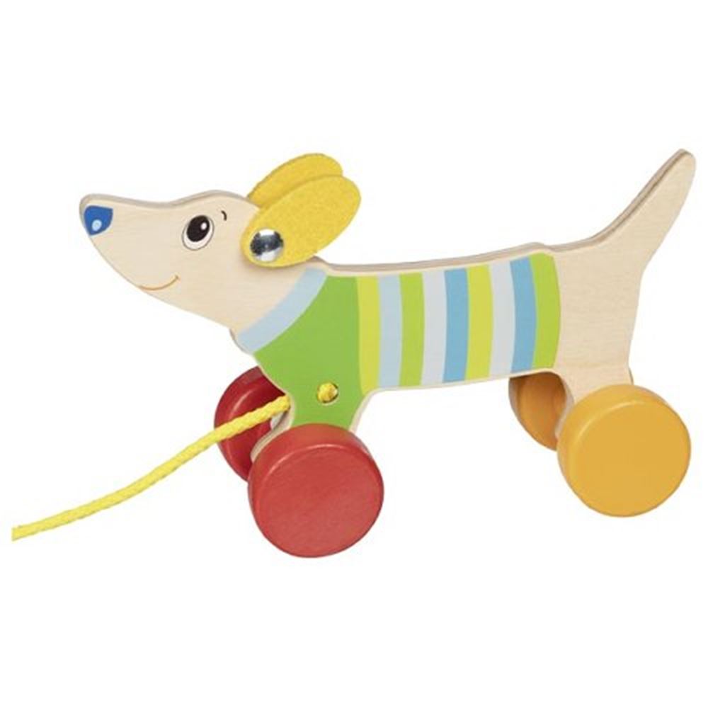 Goki Holztestierhund