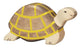 Holztigerschildkröte. 10 cm.