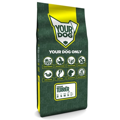 YourDog Yorkshire Terrace Welpe