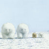 Bildpostkarte 141: Eisbären im Schnee