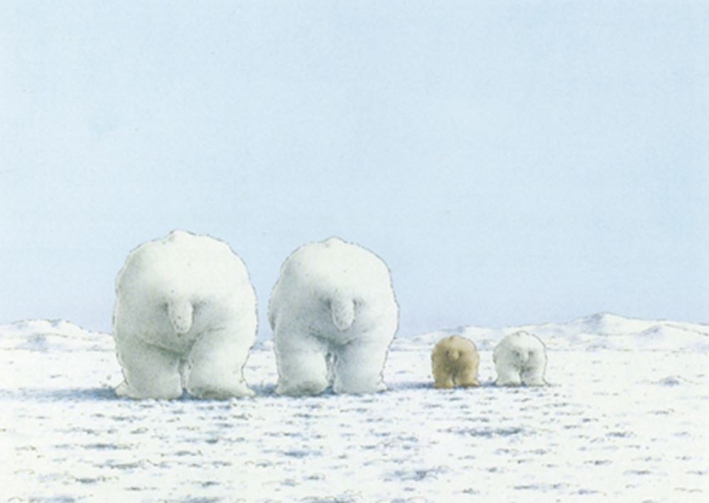 Bildpostkarte 141: Eisbären im Schnee