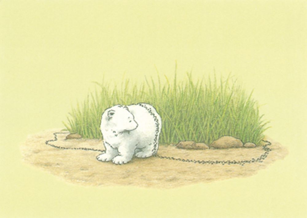 Bildpostkarte 212: Eisbär und Ameisen.