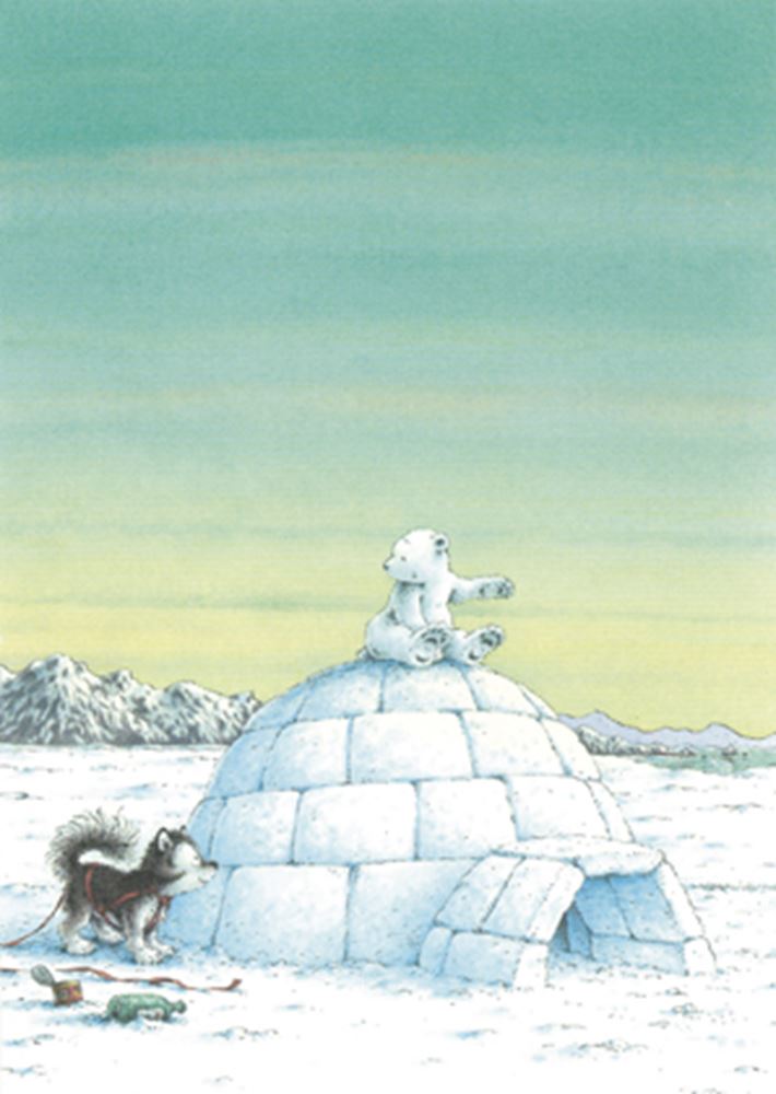 Bildpostkarte 262: Kleiner Eisbär und Nr