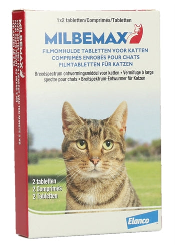 Milbemax Katze