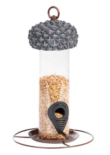 Am besten für Vögel, die Silo Eichel für Samen füttern