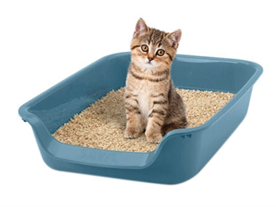 Savic Junior Cat Box Blau