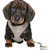 Trixie Junior Puppy Economies weich mit Riem hellgrau