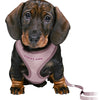 Trixie Junior Welpe Eigen weich mit Riem Lila