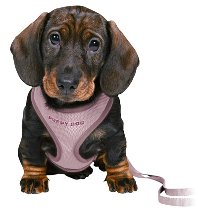 Trixie Junior Welpe Eigen weich mit Riem Lila