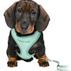 Trixie Junior Puppy Economies weich mit Riem Mintgroen
