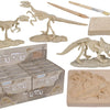 Dsp-Ausgrabungsset, Dinosaurierskelett, 4,5