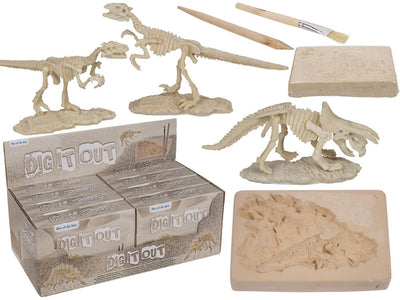 Dsp-Ausgrabungsset, Dinosaurierskelett, 4,5