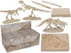 Dsp-Ausgrabungsset, Dinosaurierskelett, 4,5