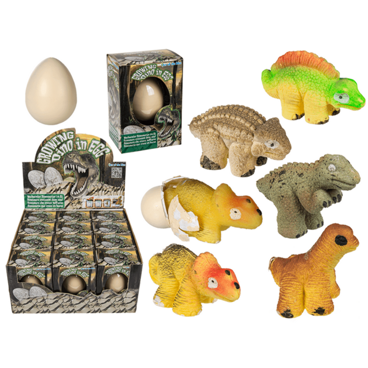 Dsp. Wachsender Dinosaurier im Ei. 6 cm.