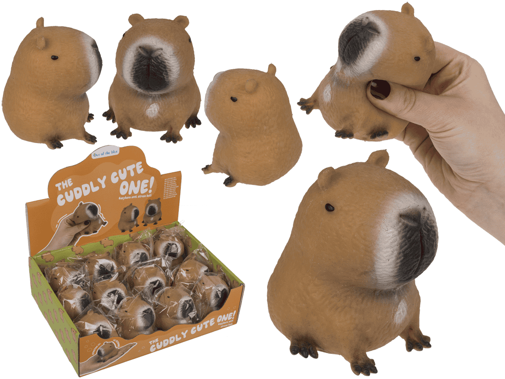 Dsp Squeezie Capybara. 12 Stück in dsp.