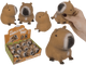 Dsp Squeezie Capybara. 12 Stück in dsp.