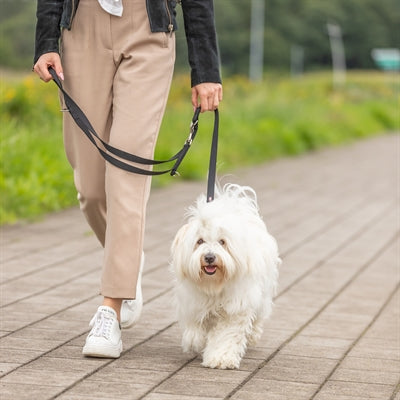 Trixie Dog -Leinen einstellbare zwei -Layer -Schwarz