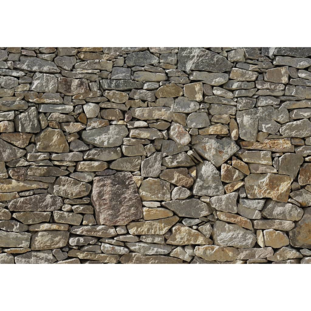 Komar Komar Foto Tapete Steinmauer 368x254 cm 8-727