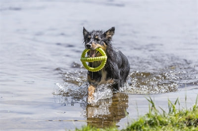 Trixie Aqua Toy versuchen Sie TPR Asorti spielen