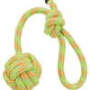 Trixie Knoopbal bei Cord Lime