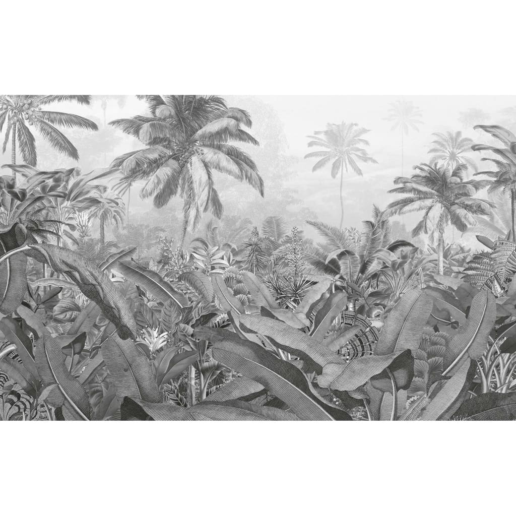 Komar Komar Foto Wallpaper Amazonien Schwarz und Weiß 400x250 cm