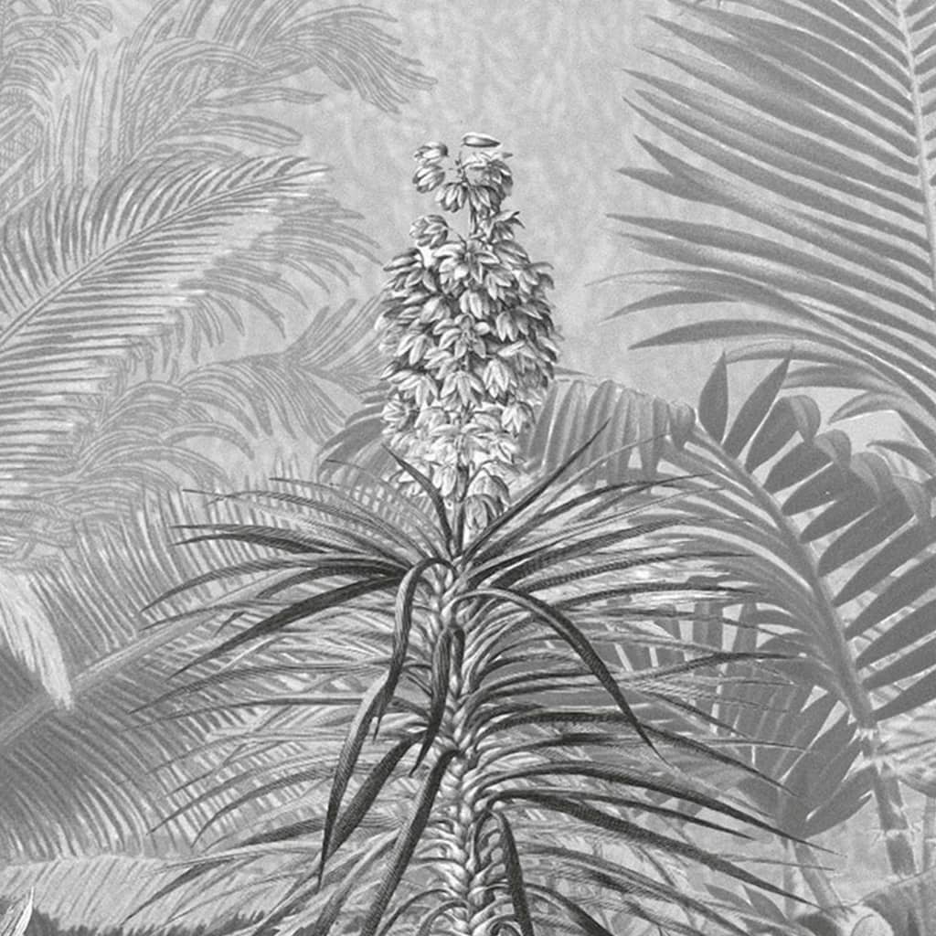 Komar Komar Foto Wallpaper Amazonien Schwarz und Weiß 400x250 cm