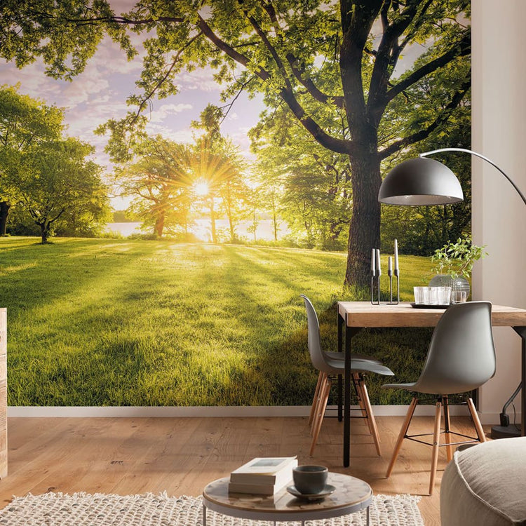 Komar Komar Foto Wallpaper Goldener Moment 400x250 cm