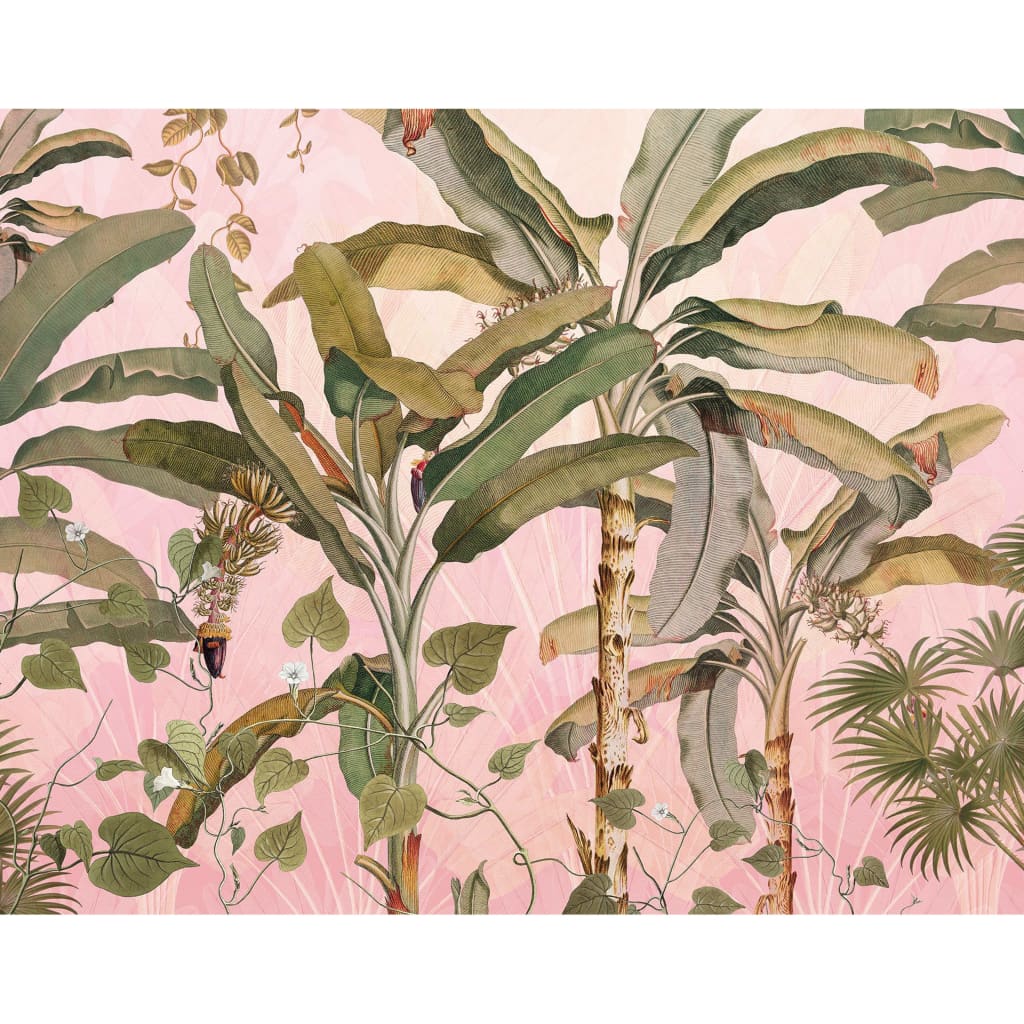 Komar Komar Foto Wallpaper Plantation 350x270 cm
