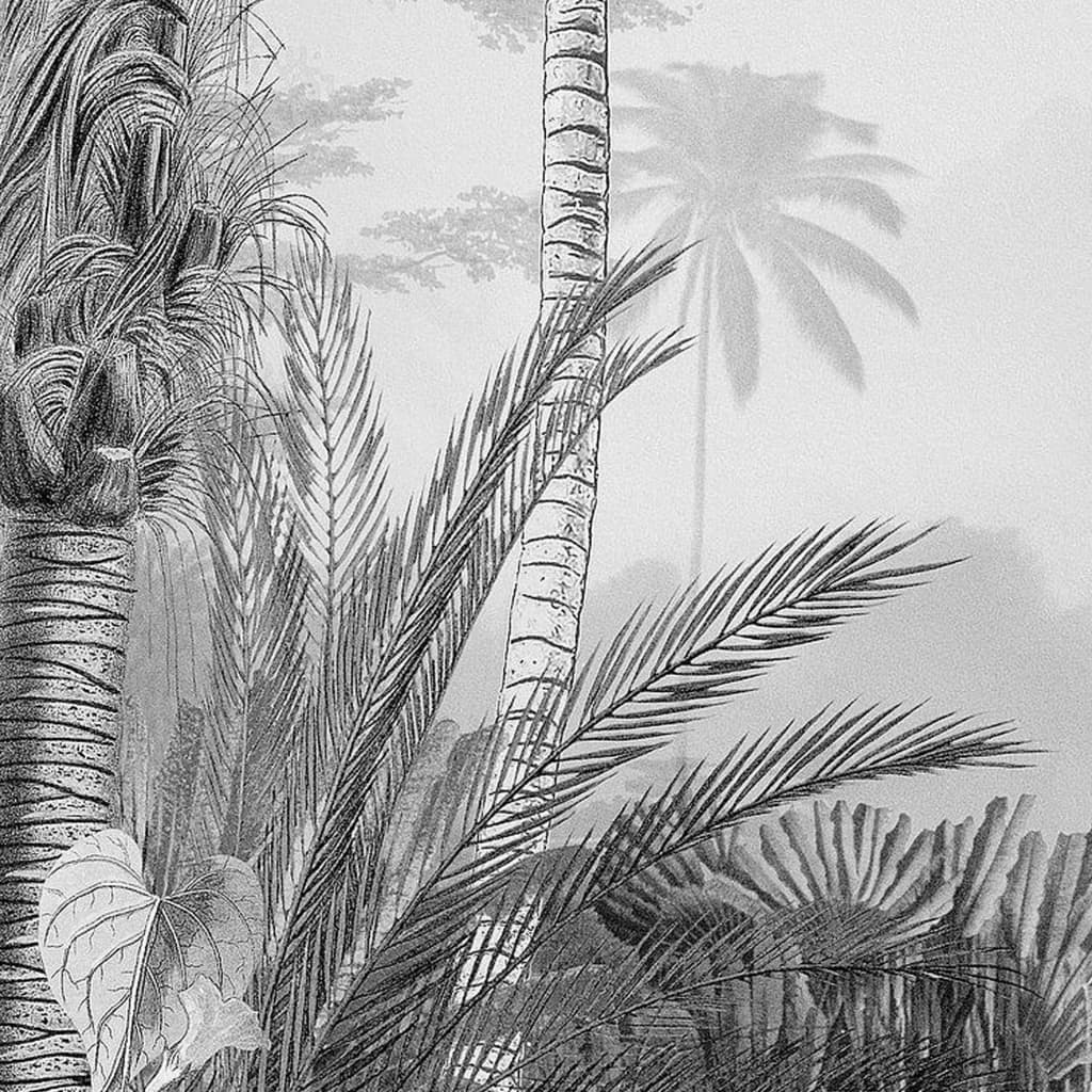 Komar Komar Foto Wallpaper Lac Tropical Black White 200x270 cm