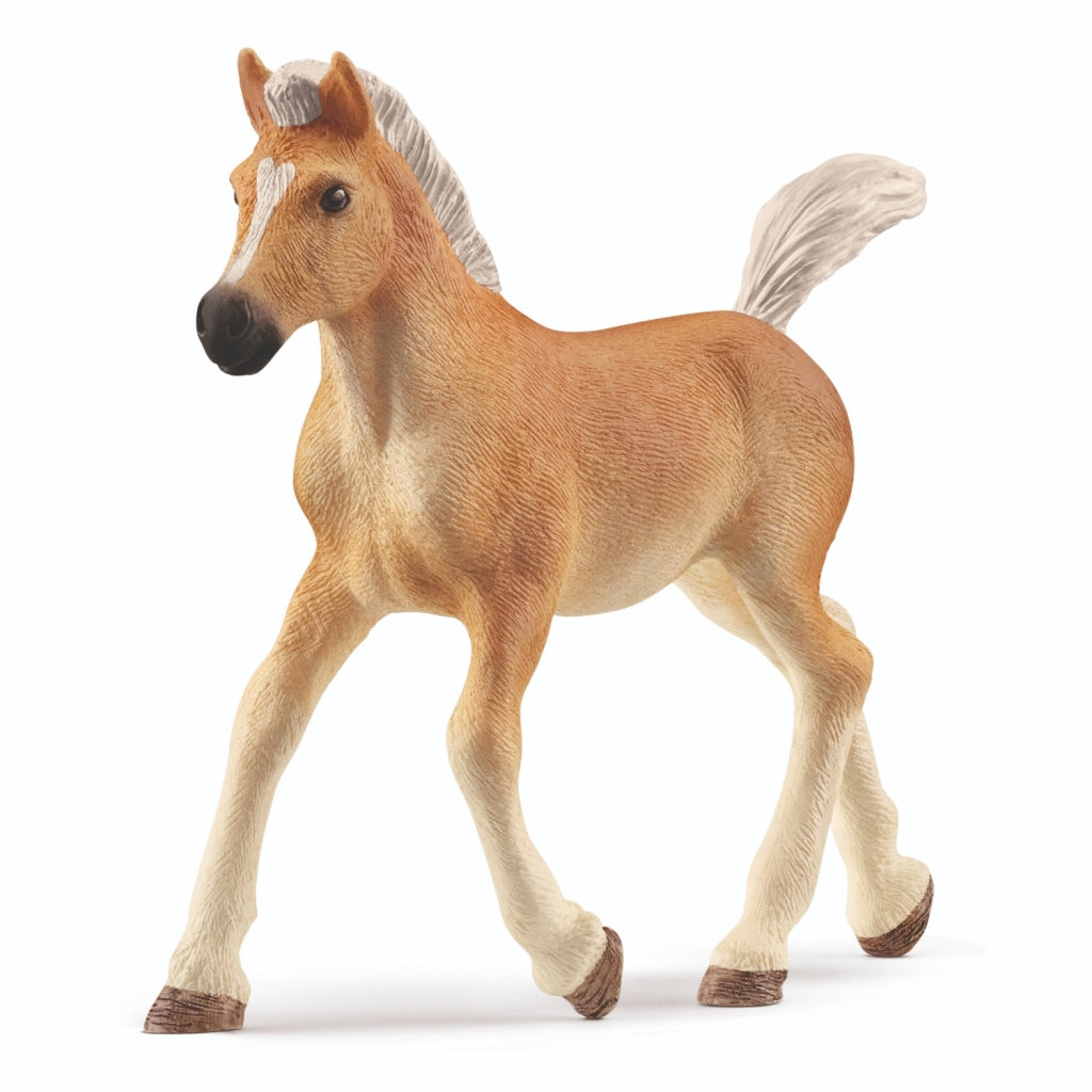 Schleich Horse Club Halblingerven 13951