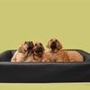 BIA -Bett Hondmand Original quadratisch schwarz