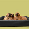 BIA -Bett Hondmand Original quadratisch schwarz