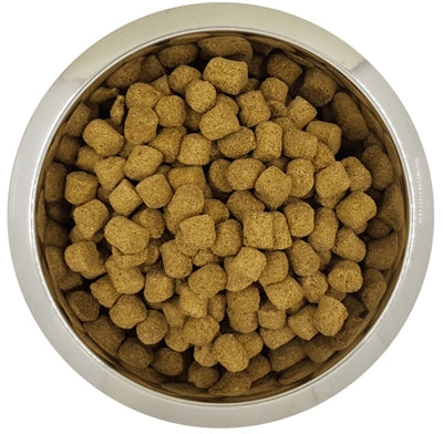 Yourdog Royal Pudel reif