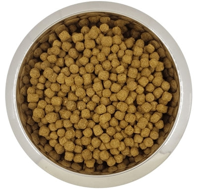 Yourdog dwergof typedel Senior