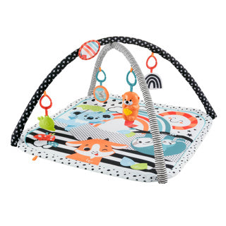 Fisher Price Fisher-Price 3-in-1 Music Glow Grow Gym