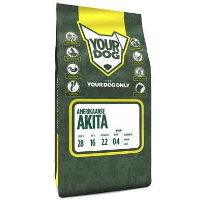 YourDog American Akita Welpe