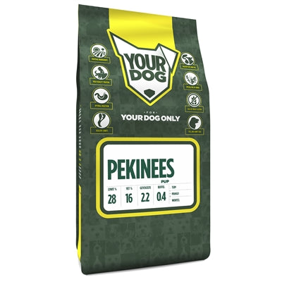 Yourdog panese Welpe