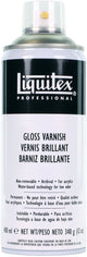Liquitex 6625 Lackspray Glanz 400 ml – Schutzfirnis für Acrylfarbe – Hochglanzfinish
