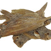 Sn'urk schnarchen getrocknete Plaice
