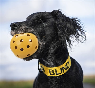 Trixie Gatenbal Natural Gummi mit Glocke für blinden oder behinderten Hund