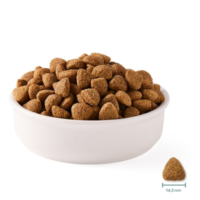 Yarrah Hund Bio -Stücke von Vega Baobab Kokosöl