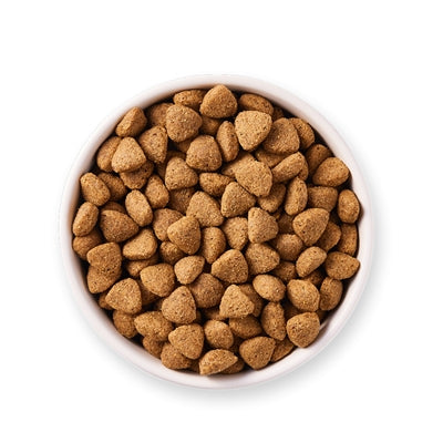 Yarrah Hund Bio -Stücke von Vega Baobab Kokosöl