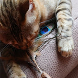 Croci Euphoria Cat Rod Matatabi Pauwenveveer - afbeelding 3