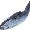 Trixie -Spartelfisch mit Stoff Katzenminze