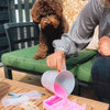 EasyPets Easy Freezy Dog Ice Dog Ice Cream Ananas