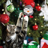 Rosenholzkatze Streifenpinguin mit Veer