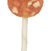 Trixie Denta Fun Chicken Cheese Lolly Lolly