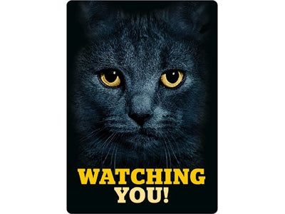 Viel Geschenke Wakkboard Blik Black Katze beobachtete dich
