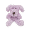 Aromadog ruhiger Flattie -Hund